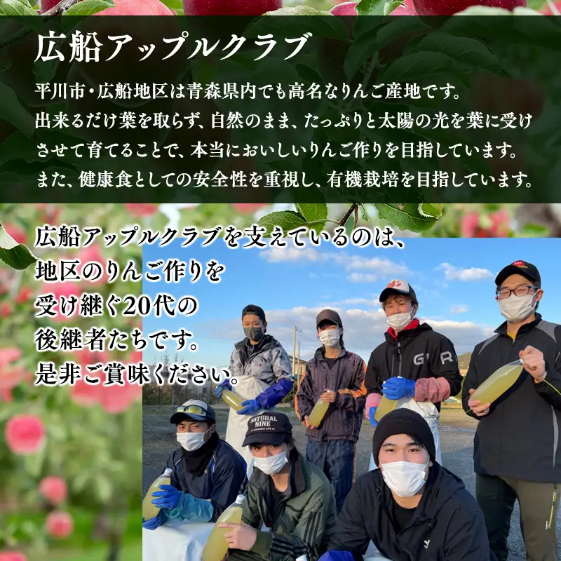 りんご 年明け 贈答用 サンふじ 約3kg 青森県平川市産[hi-0004-011]
