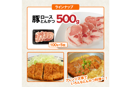 豚肉 詰め合わせ 宮崎県産豚肉 バラエティ セット 5種 4kg