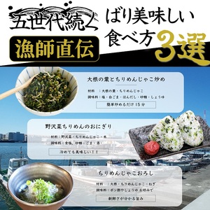 瀬戸内香川県産 ちりめん 100g×4個 化粧箱入り【予約受付中：令和8年6月頃より発送】【A-134】