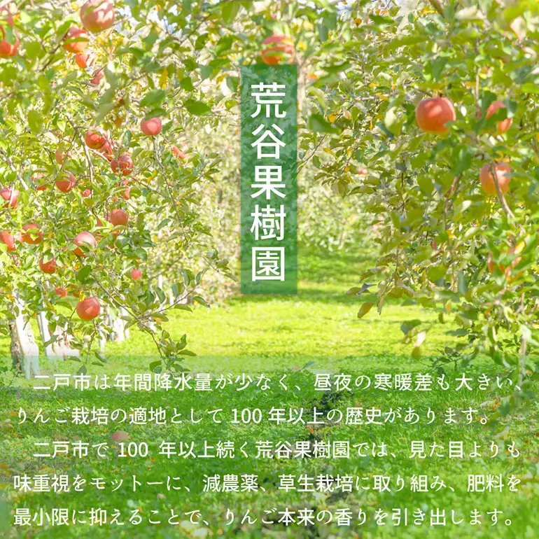【訳あり】 サンふじ 約5kg 家庭用 053-0750x1