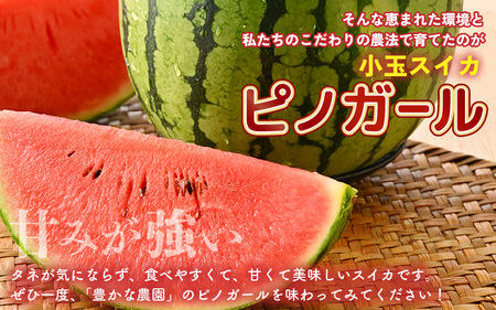 安心安全！減農薬！こだわり農法で育てた至高のピノガール (小玉スイカ) 2玉 (1玉あたり：1.3kg以上) 【2027年7月中旬以降順次発送予定】 [A-21215]