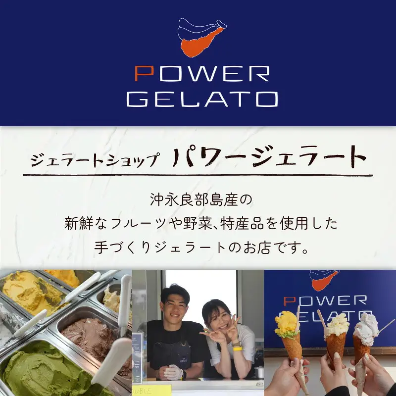 POWER gELATO 沖永良部島産（ 黒糖 ）90ml × 10個入り W066-006-02 冷凍 スイーツ