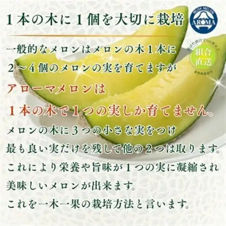 【組合直送】アローマメロン1玉(約1.3kg)～静岡が誇る高級マスクメロン～【1660352】