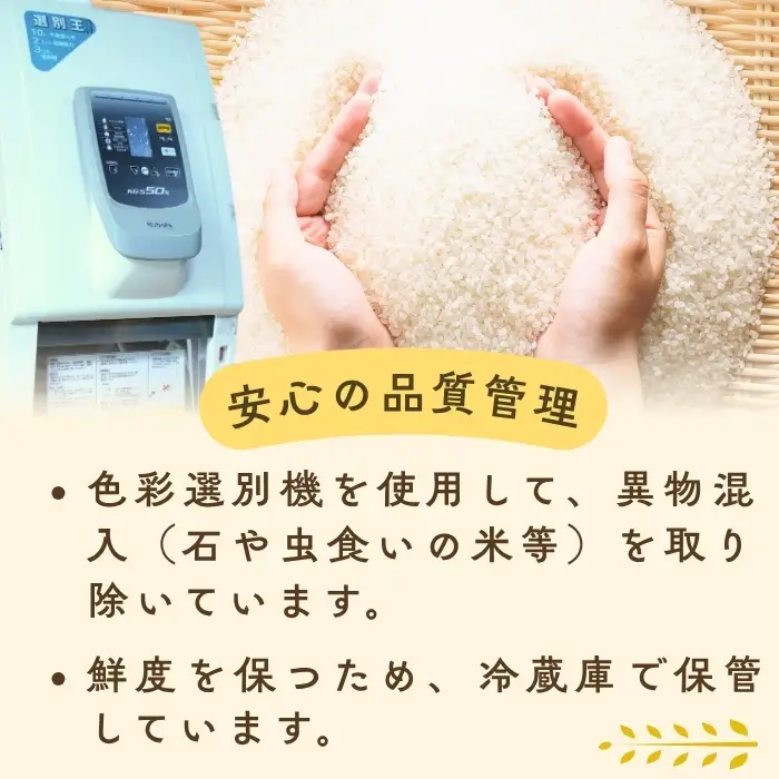 【令和8年新米予約】亜鉛米 こしひかり 無洗米 ５kg 真空パック（Cs-001）