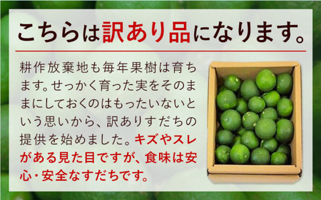 訳ありすだち 2kg すだち