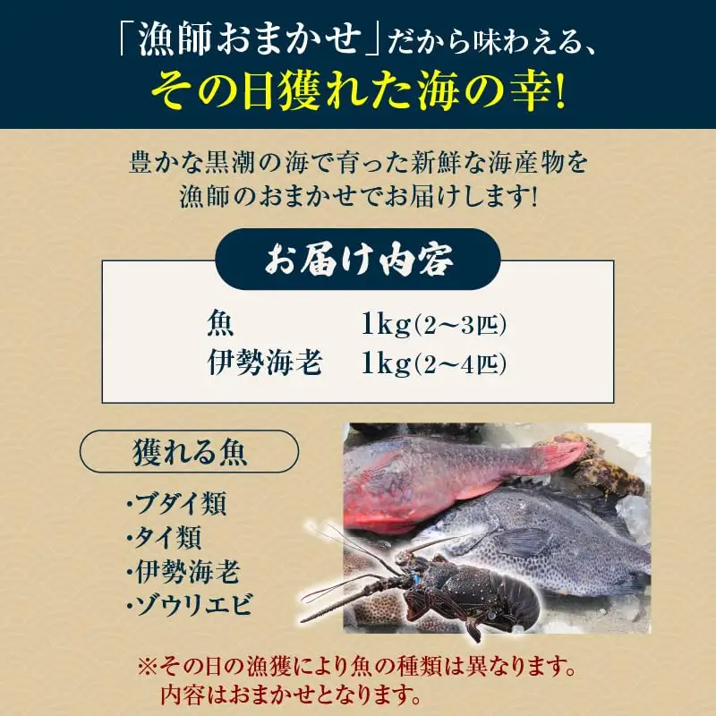 素潜り漁師 MAKOTO の誠に 美味しい 海鮮 おまかせ セット 2kg C074-002 魚介類 冷凍 伊勢海老 イセエビ 魚