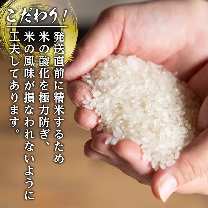 i1120-C 鹿児島県出水市産なつほのか美白米＜5kg＞ 米 お米 5kg 美白米 白米 なつほのか 自家精米 精米 自家脱穀 脱穀 おにぎり ごはん お米マイスター 厳選 【田上商店】