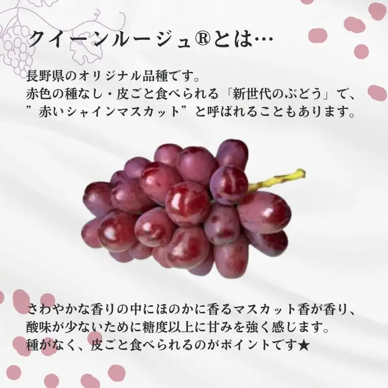TK20 ぶどう クイーンルージュ® 【家庭用】 約1kg ／2026年9月下旬～10月中 配送予定 // 稀少 新品種 長野県 南信州 松川町産 高糖度 葡萄 クインルージュ 甘い 種なし 皮ごと 訳あり お試し