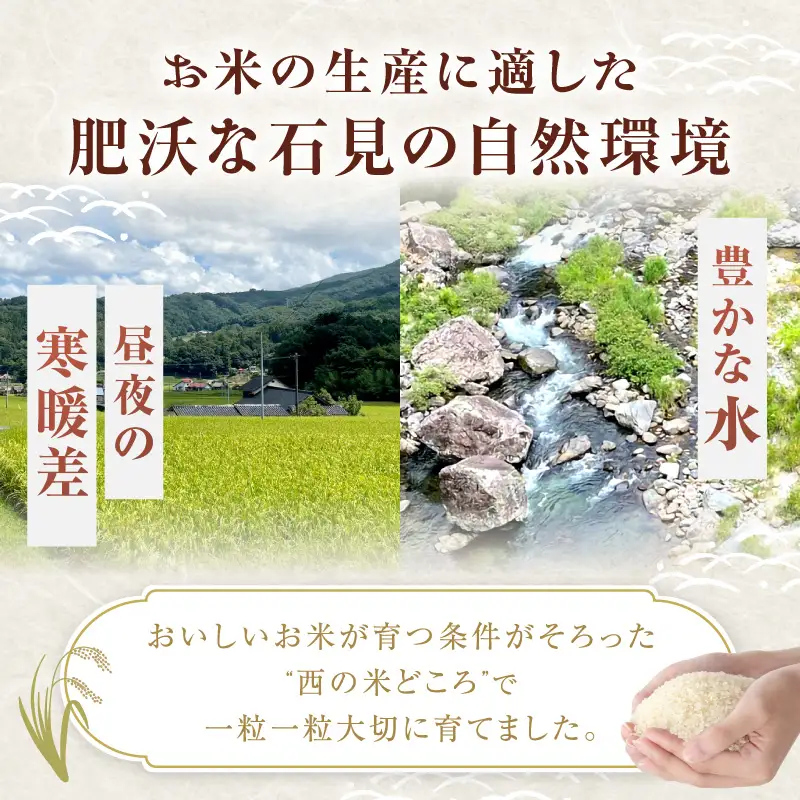 【令和7年産】石見産　きぬむすめ　10kg 米 お米 きぬむすめ 精米 白米 玄米 ごはん お取り寄せ 特産 10キロ 10kg 【058_1847】