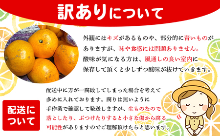 ＜木下さんちのみかん 訳あり 約10kg（2S～2Lサイズ混合）＞ 選べる わけあり 家庭用 柑橘 温州みかん うんしゅうみかん ミカン 蜜柑 果物 くだもの フルーツ 国産 特産品 木下農園 愛媛県 西予市【常温】『2026年11月中旬?12月下旬迄に順次出荷予定』MKS0006