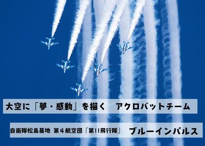 自衛隊 ブルーインパルスミニベアパイロット（ヘルメットVer）ブルーインパルス くま ベア 松島基地 宮城県 東松島市 オンラインワンストップ 対応 自治体マイページ 東松島観光物産公社