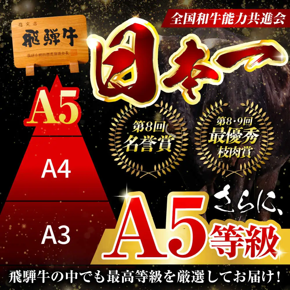 【12回定期便】飛騨牛サーロイン・リブロース 800g(400g×2パック) すき焼きしゃぶしゃぶ用肉 [AVBO026]