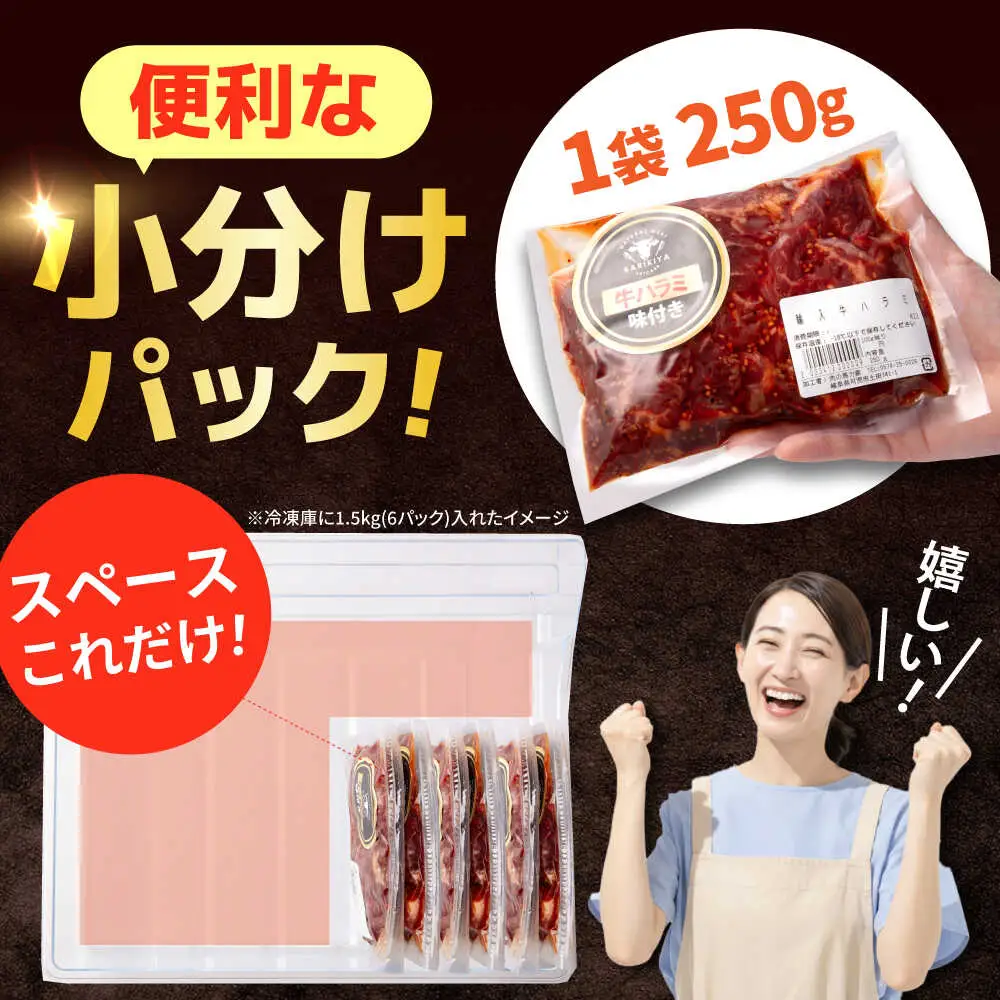 【12回定期便】【訳あり】味付けハラミ 500ｇ(250ｇ×2パック) [AVBO041]