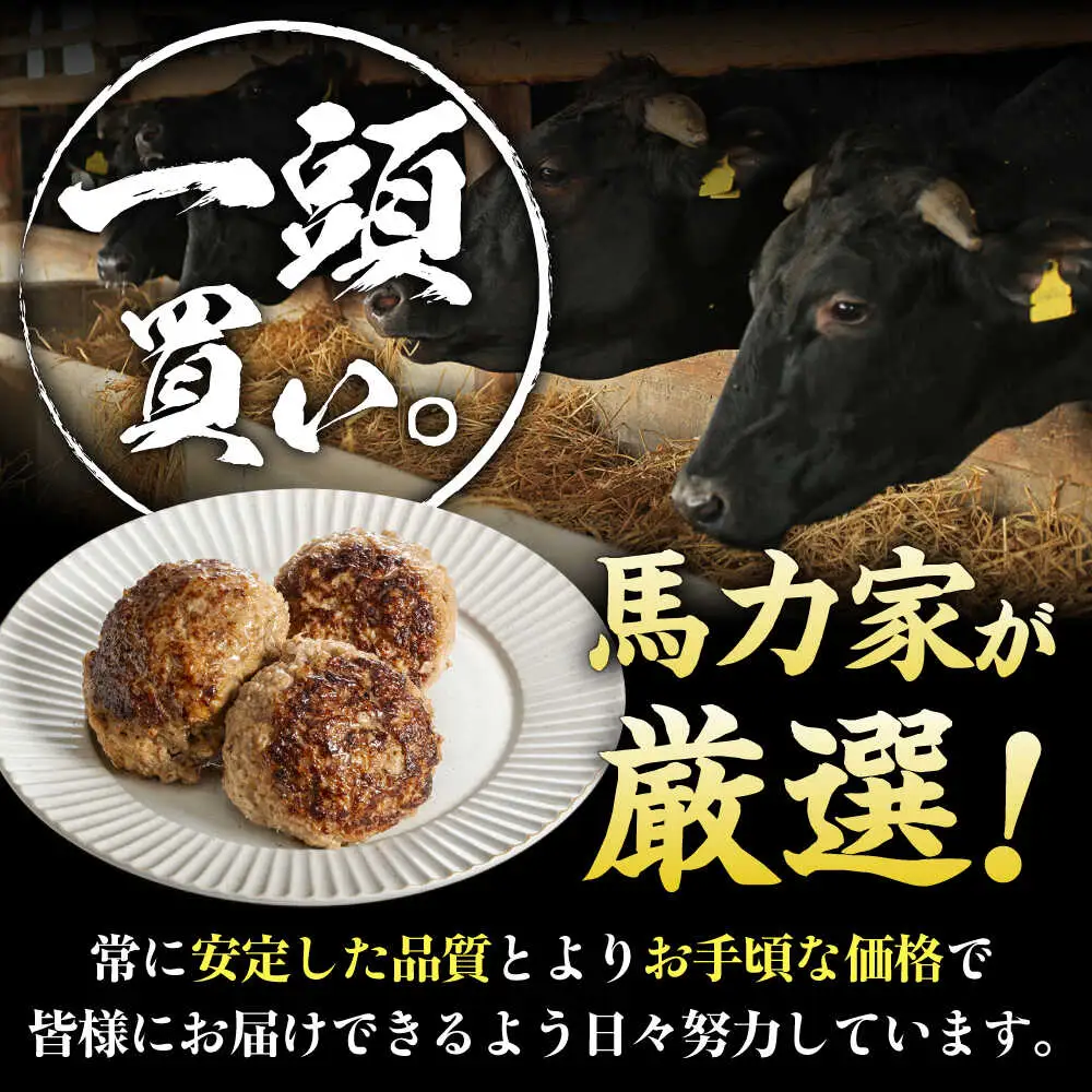 【12回定期便】超ハンバーグ ミニ 10個[AVBO071]牛肉 定期便