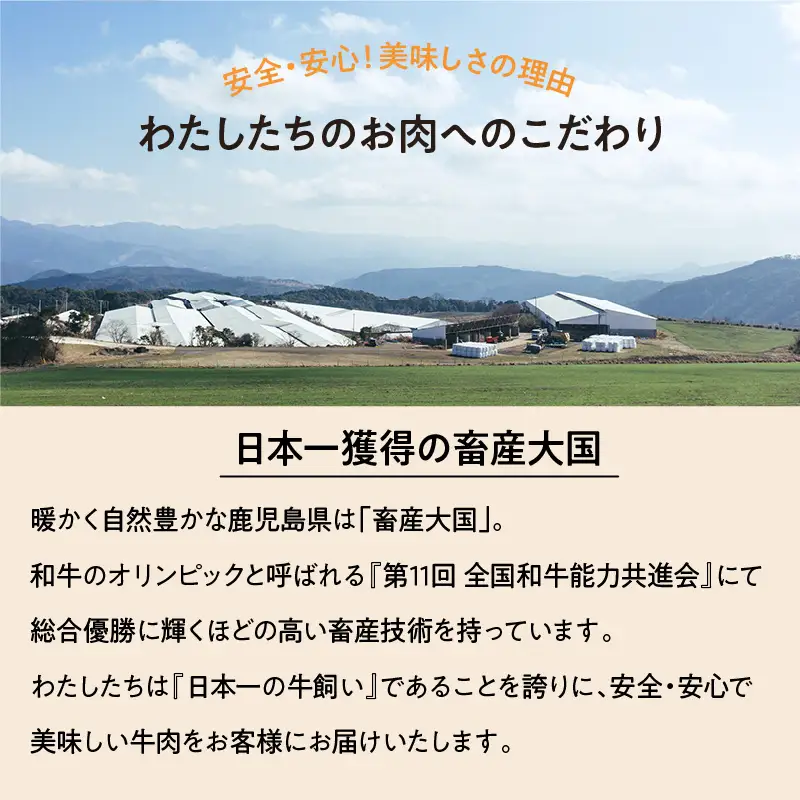 A5等級 鹿児島県産 黒毛和牛 赤身 焼肉 800g K002-051_08 肉 牛肉 冷凍