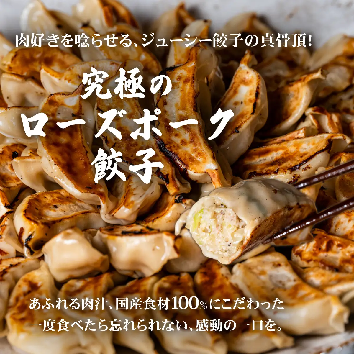 餃子 60個 ブランド豚 餃子
