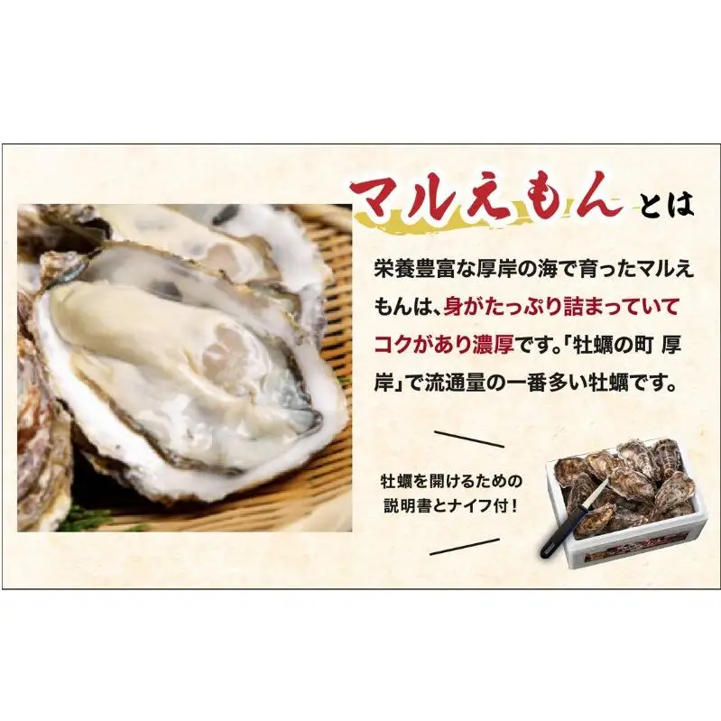 北海道厚岸産 生食用 殻付カキ Mサイズ  12個　マルえもん 魚貝類 海の幸 海のミルク 海鮮 国産 北海道産 オイスター つまみ お酒 あて 肴 生牡蠣 メルマガ掲載商品1