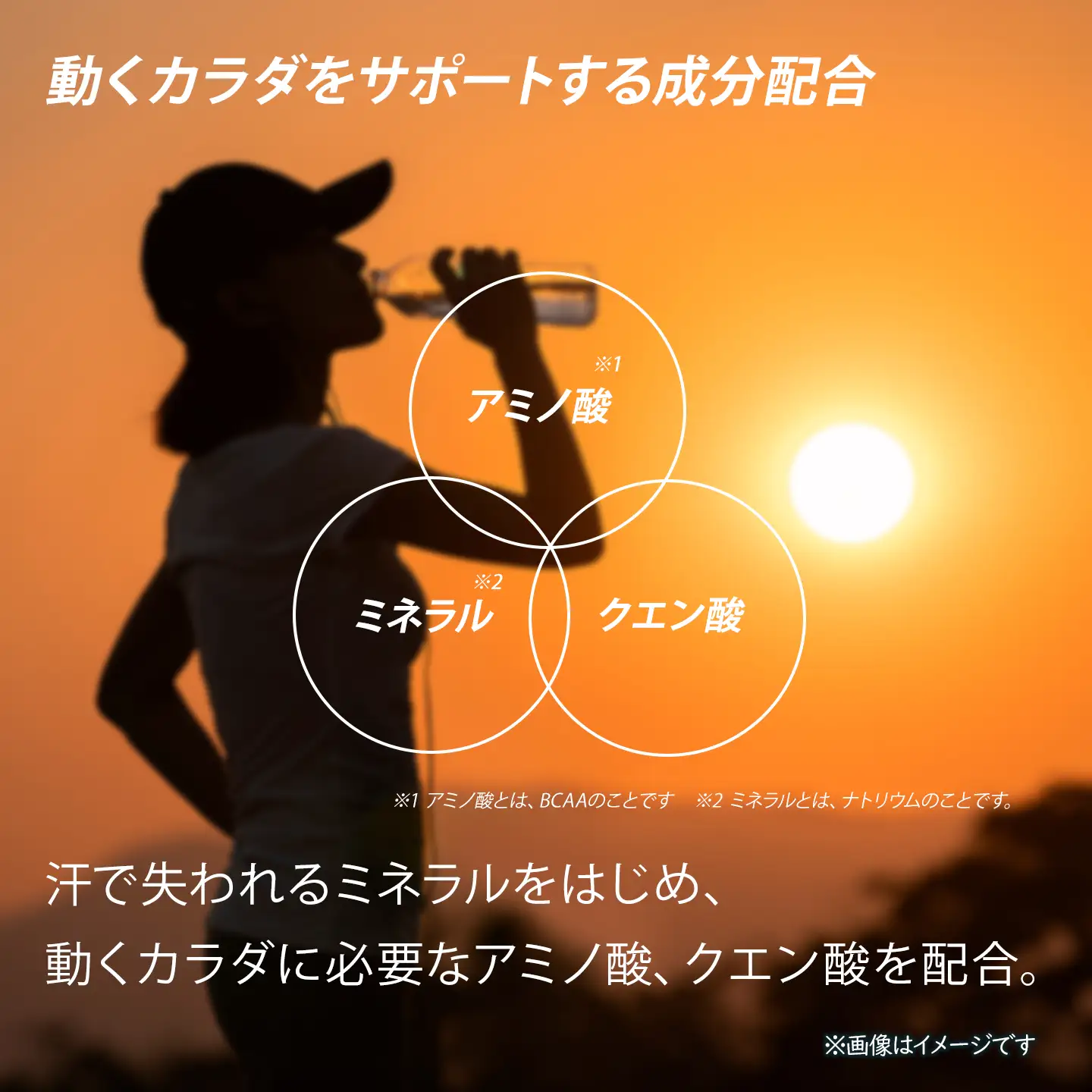 【3回定期便】 アクエリアス 500mlPET_24本入り 1ケース｜ スポーツドリンク 水分補給 熱中症対策 アクエリ