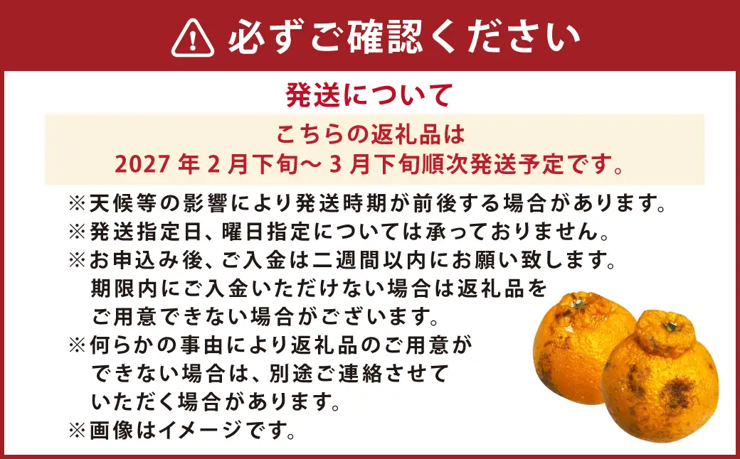 【先行受付】【数量限定】【訳あり】不知火 約5kg 訳あり 訳アリ 柑橘 フルーツ 果物 果実 くだもの みかん 蜜柑 ミカン 九州産 熊本県 上天草市【2027年2月下旬～3月下旬順次発送】