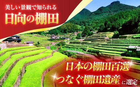 【2回定期便】米 ひなた米 5kg [OCM042]