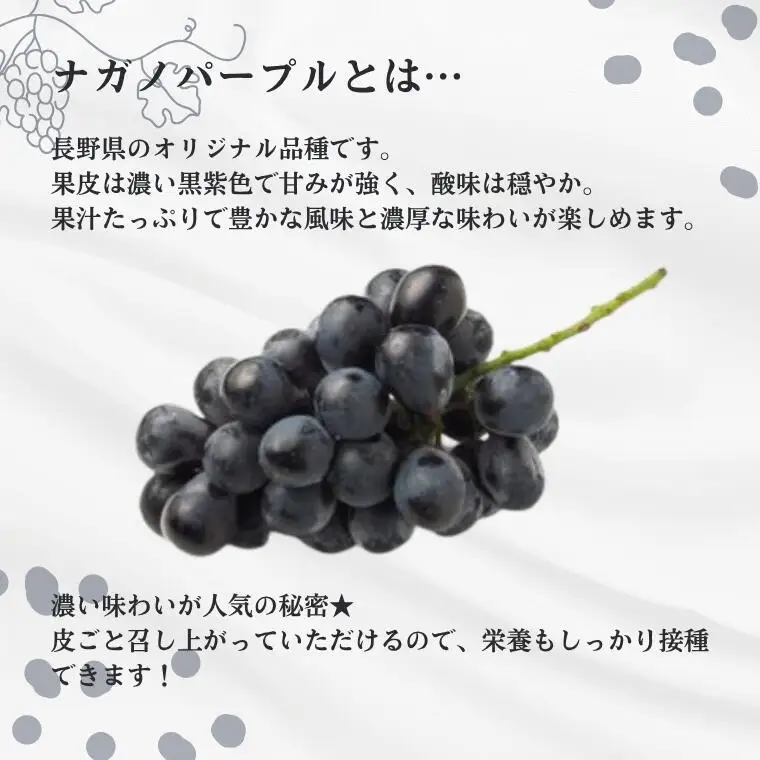 TK18　ぶどう ナガノパープル【家庭用】 約1kg ／2026年9月上旬～9月中旬配送予定 // 長野県 南信州 松川町産 種なし 皮ごと 南信州 長野県 オリジナル品種 稀少 人気 自家用