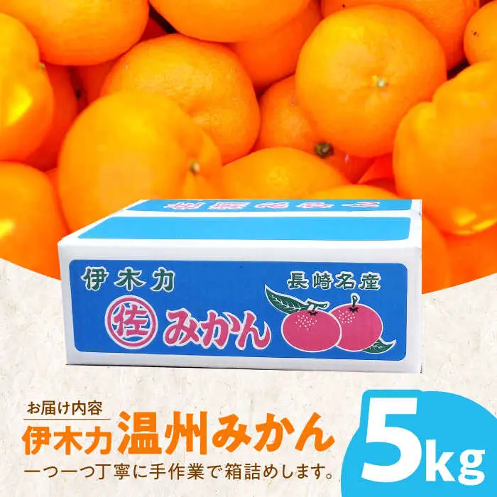伊木力温州みかん 5kg AHBD003 みかん