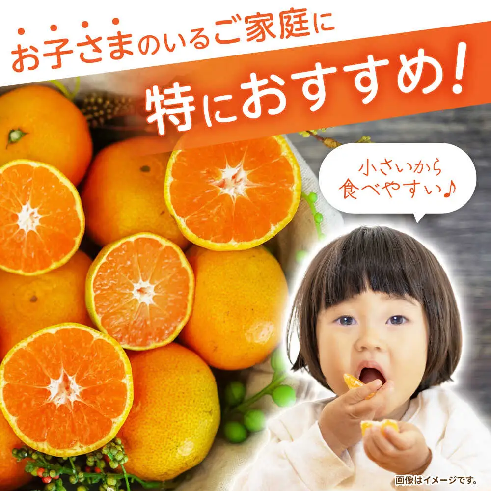 ※【2026年10月下旬より順次発送／先行予約】伊木力みかん(ちび柑) 5kg / みかん s みかんsサイズ ミカン 蜜柑 柑橘 フルーツ ふるーつ 果物 くだもの / 諫早市 / 山野果樹園 [AHCF013]