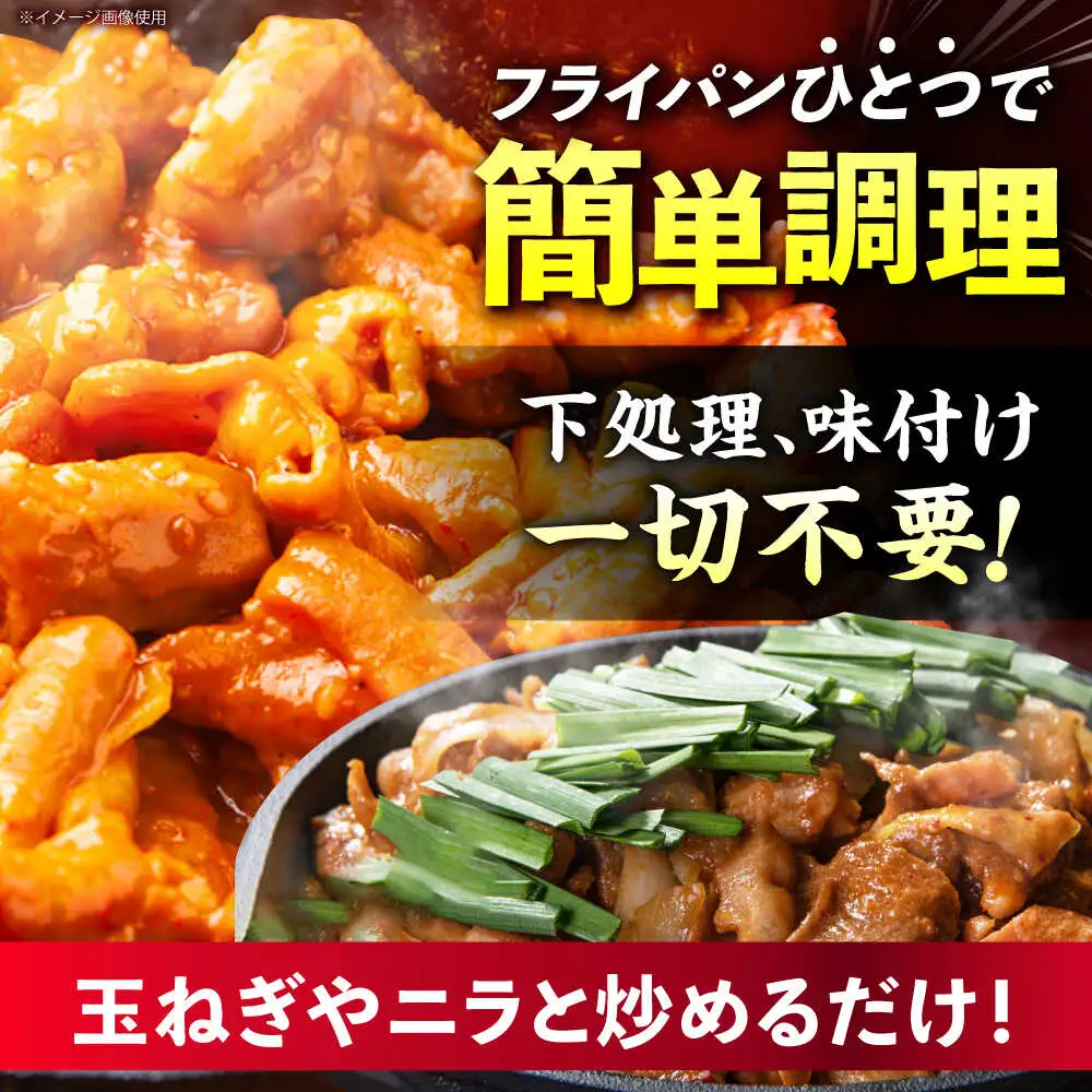 【3回定期便】岐阜県産豚もつの鉄板焼き「元祖みたけとんちゃん」豚塩味（4人前）[AVAA058]豚肉 定期