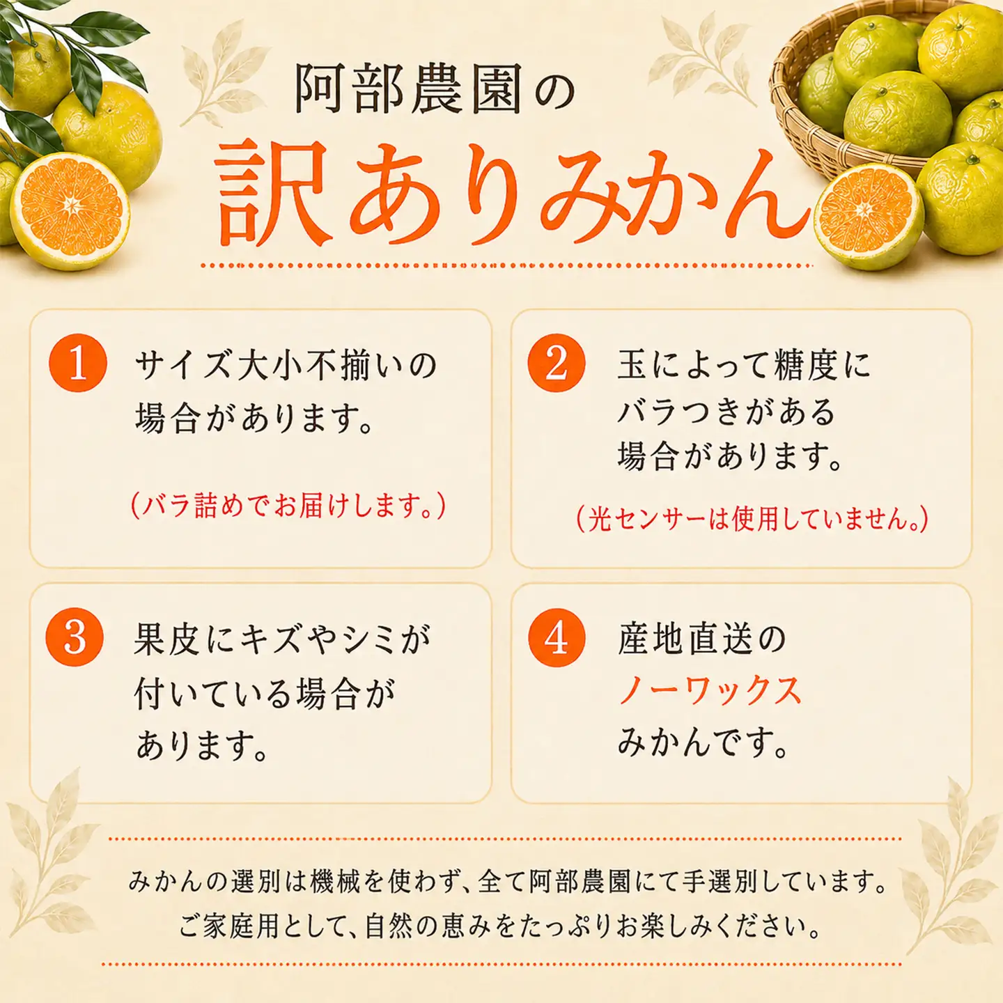ゆら早生 約8kg 訳あり品 阿部農園 温州みかん 極早生 先行予約 10月 ミカン ＜112-020＞