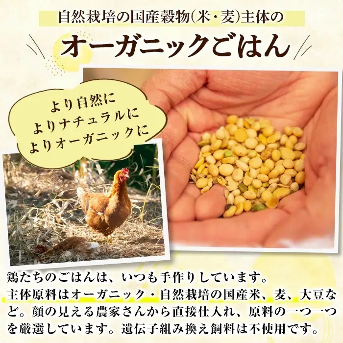 K-622 国産！オーガニックチキン 手羽先 手羽元セット (計1.2kg～1.6kg)【お多福たまご】霧島市 国産 鶏肉 鳥 オーガニック 有機JAS認定 抗生物質不使用 ワクチン不使用 ワクチンフリー 無投薬飼育 冷凍