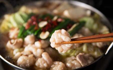 【6ヶ月定期便】【ご家庭用】博多もつ鍋 味噌味 3人前 国産牛モツ ちゃんぽん麺 ホルモン