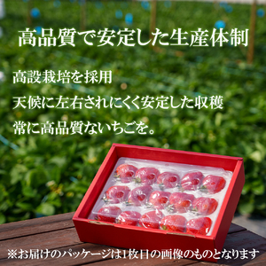 GF003_【2025年11月中旬～2026年4月発送】エクセレント400ｇ