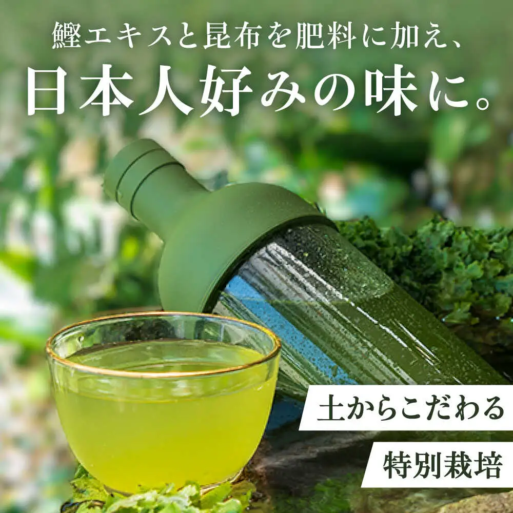 青々 1袋（85g） / 嬉野茶 / 白川製茶園 [41AIAB017]