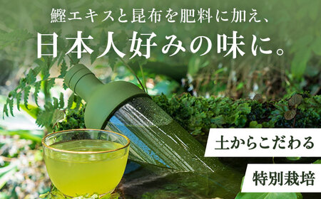 参 緑茶ティーバッグ 1袋（3g×28個） / 緑茶 / 白川製茶園 [41AIAB018]