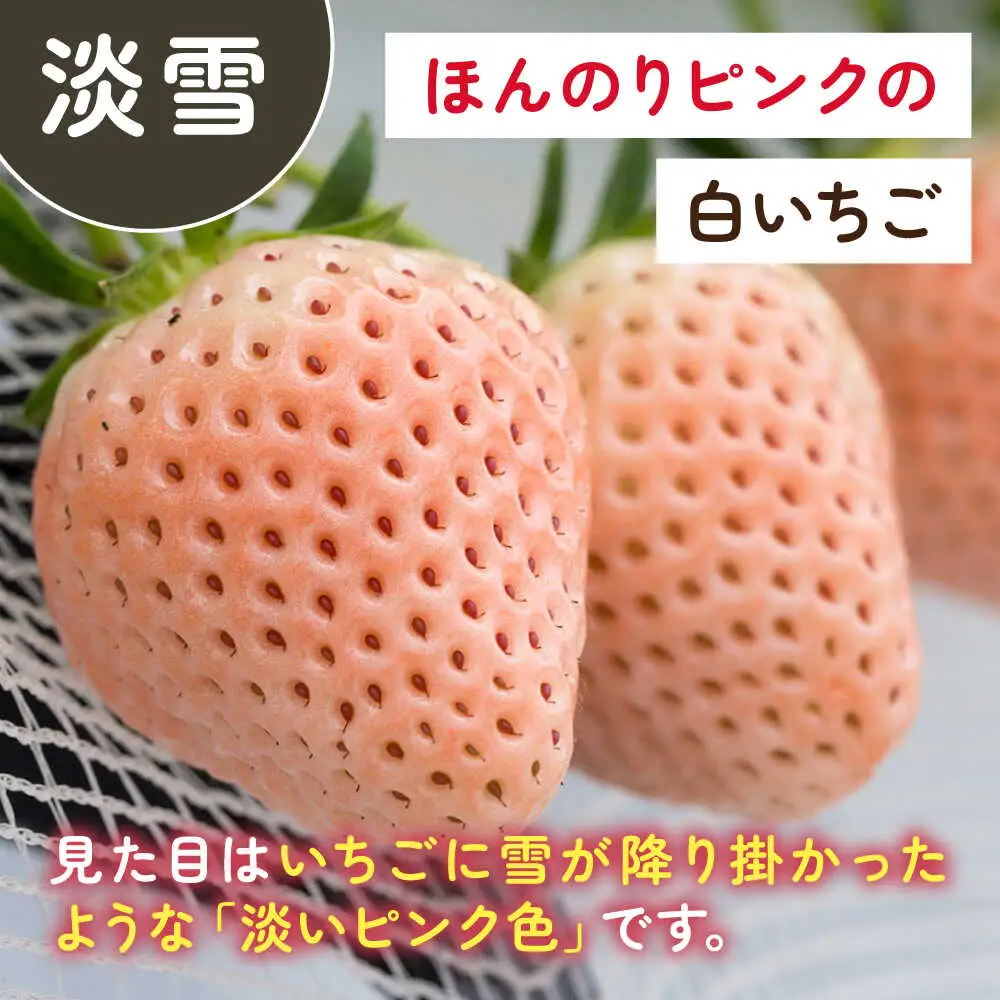 【2027年2月以降順次発送】淡雪・こころの色 白いちごプレミアム 計440g（220g×2パック）/ 岸川農園 [41ASAG007]