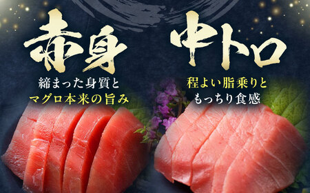 対馬産 本マグロ 740g（赤身300g、中トロ300g、切り落とし140g） ≪対馬市≫【桐谷商店】 トロの華 対馬 新鮮 マグロ 赤身 トロ 切り落とし 鮪 刺身[WAQ079]