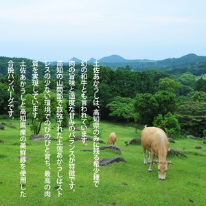 幻のあかうし和牛ハンバーグ 16個入り 6ヶ月定期便 1個120g 特製デミソース トマトソース付き 田野屋青蜂 白鯆 完全天日塩練り込み