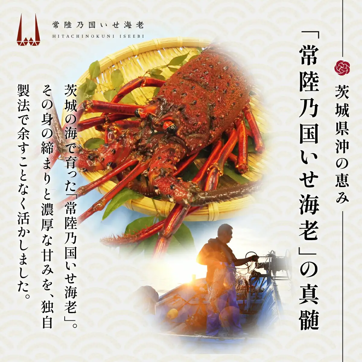 【京遊膳 花みやこ】常陸乃国いせ海老XO醤 1個入【配送不可地域：離島】【1660253】
