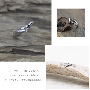 結婚指輪 メンズリング PT900 ブラックダイヤモンド 0.07ct プラチナ V字リング ジュエリー マリッジリング 【294-ptm】 ALPAZ160