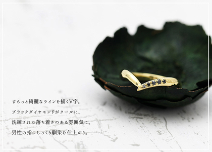 結婚指輪 メンズリング K18YG ブラックダイヤモンド 0.07ct イエローゴールド V字リング ジュエリー マリッジリング 【294-k18ygm】 ALPAZ161