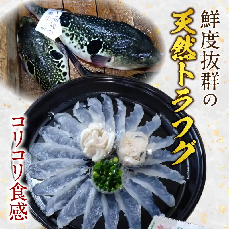 三河産天然トラフグ刺身とヒガンフグたたきの食べ比べセット・U047-23