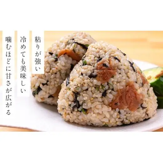 令和7年産!ファーム坂口の特別栽培米 おぼろづき玄米5kg