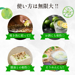 【2026年8月下旬発送】すだち 1kg 露地栽培 徳島県産 旬 スダチ 柑橘 酢 ビネガー 焼き魚 果汁 鮭 サーモン さば