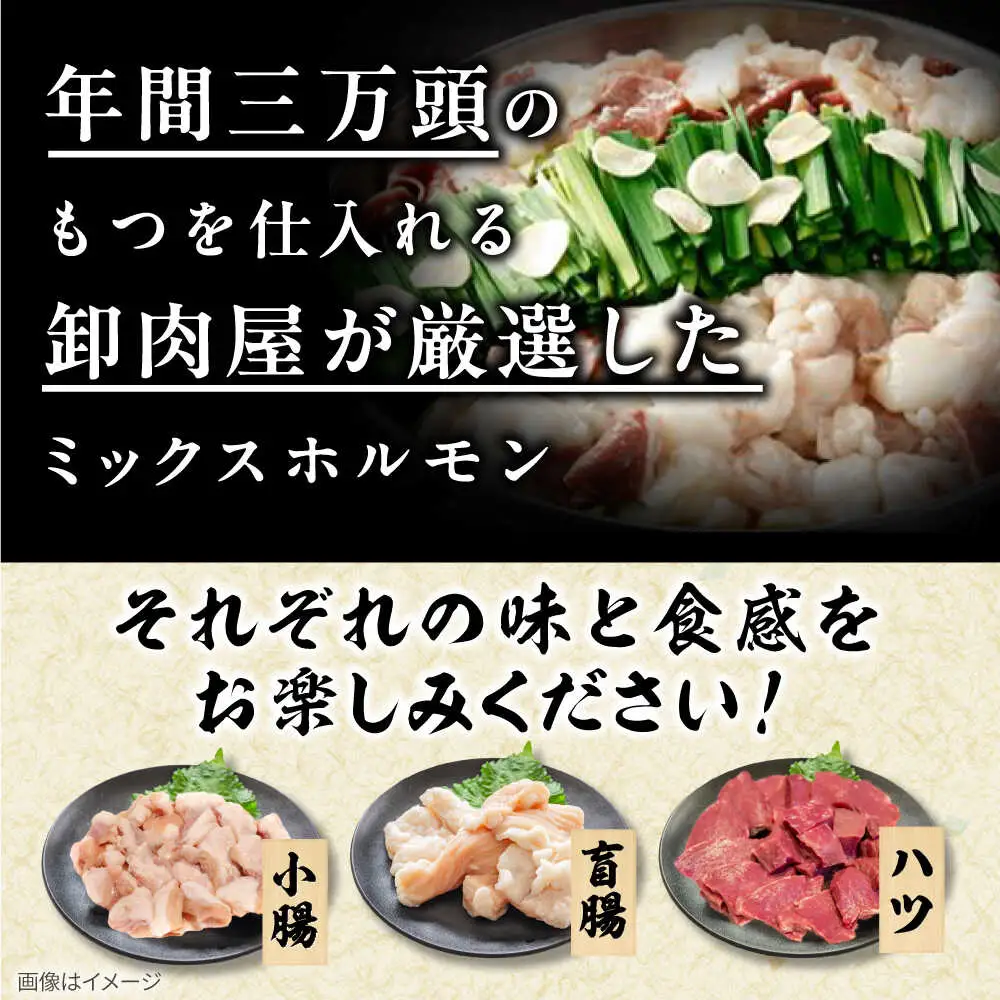 「上田商店」工場直販 もつ鍋セット(白味噌/4-5人前)[BGAD059]モツナベ
