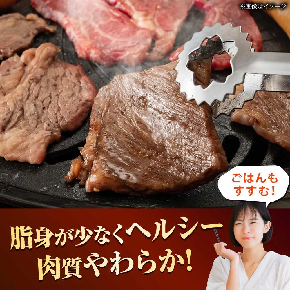 【訳あり】博多和牛ヒレ焼肉用 600g [BGAM012]牛肉 焼肉