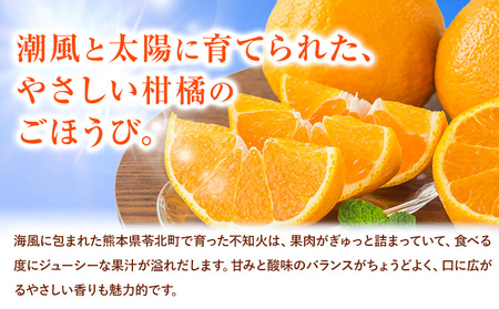 【先行予約】みかん 不知火 5kg 高橋商店　熊本県 苓北町 柑橘 かんきつ 果物 フルーツ しらぬい 送料無料