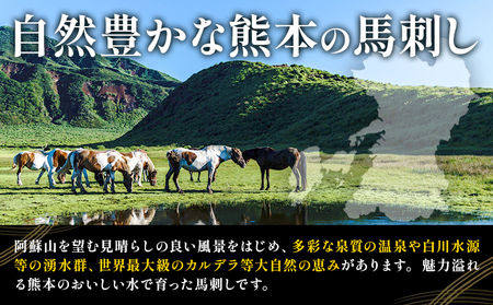 馬刺し5種盛 50g×5・特赤身・赤身・中トロ・たてがみ（コーネ）・ユッケ馬刺し醤油（5ml×5) 株式会社ドクタージュ《30日以内に出荷予定(土日祝除く)》熊本県 南阿蘇村 熊本県産 熊本 馬刺し 赤身 送料無料