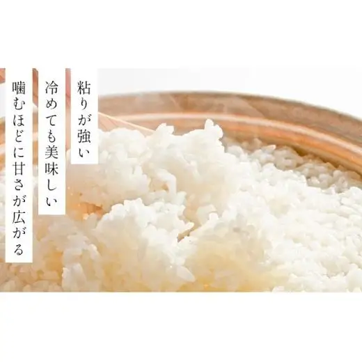 令和7年産!ファーム坂口の特別栽培米 おぼろづき精米 10kg(5kg×2)