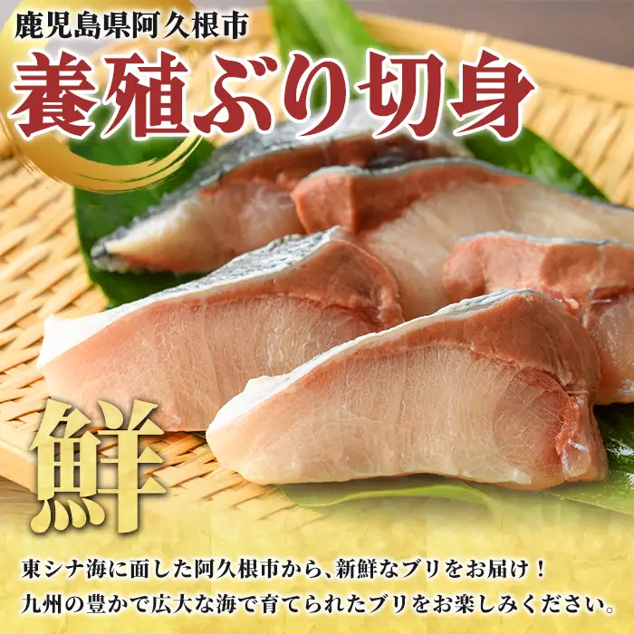 養殖ぶり切身(約2kg) 鹿児島県 阿久根市 ブリ ぶり 鰤 魚貝 魚介 海産物 切身 切り身 煮物 煮つけ 焼き魚 おかず おつまみ 小分け 【さるがく水産】akn028-45