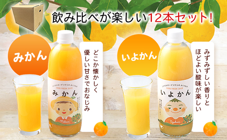 ＜マルワフルーツ柑橘アソート 100％ストレート果汁ジュース 500ml×12本＞ 詰め合わせ セット スイーツ 果物 フルーツ みかん オレンジ 柑橘 清見 でこひめ 河内晩柑 伊予柑 せとか 特産品 愛媛県 西予市【常温】『1か月以内に順次出荷予定』UUB0077